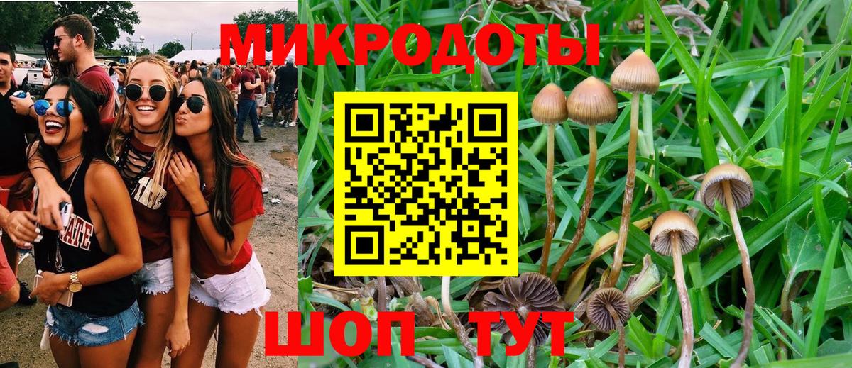 Псилоцибиновые грибы ЛСД Партизанск