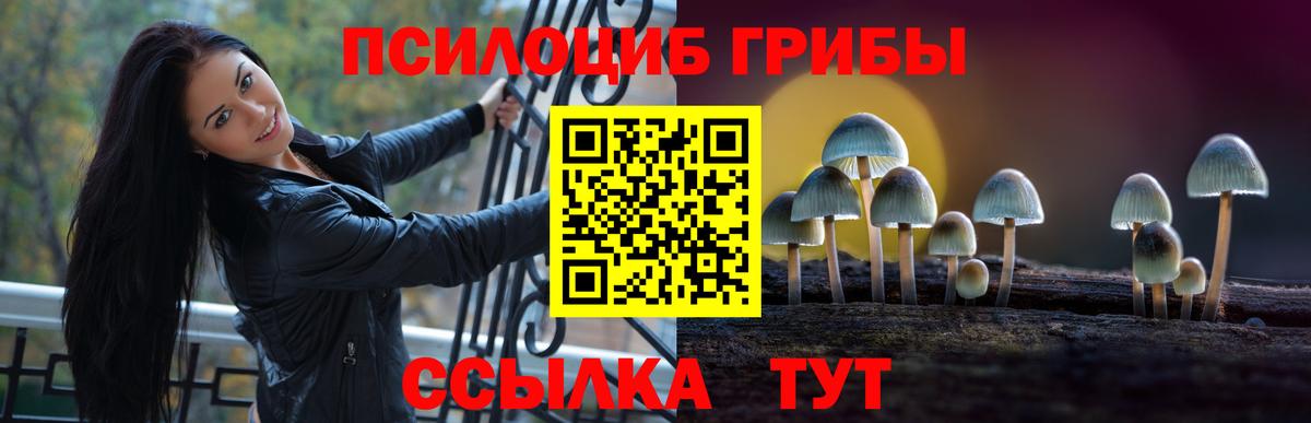 Партизанск  Псилоцибиновые грибы GOLDEN TEACHER  Галлюциногенные грибы мухоморы  Вход с VPN 