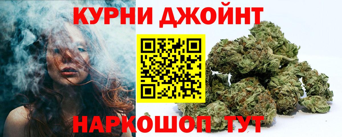 Бошки Шишки планчик Партизанск
